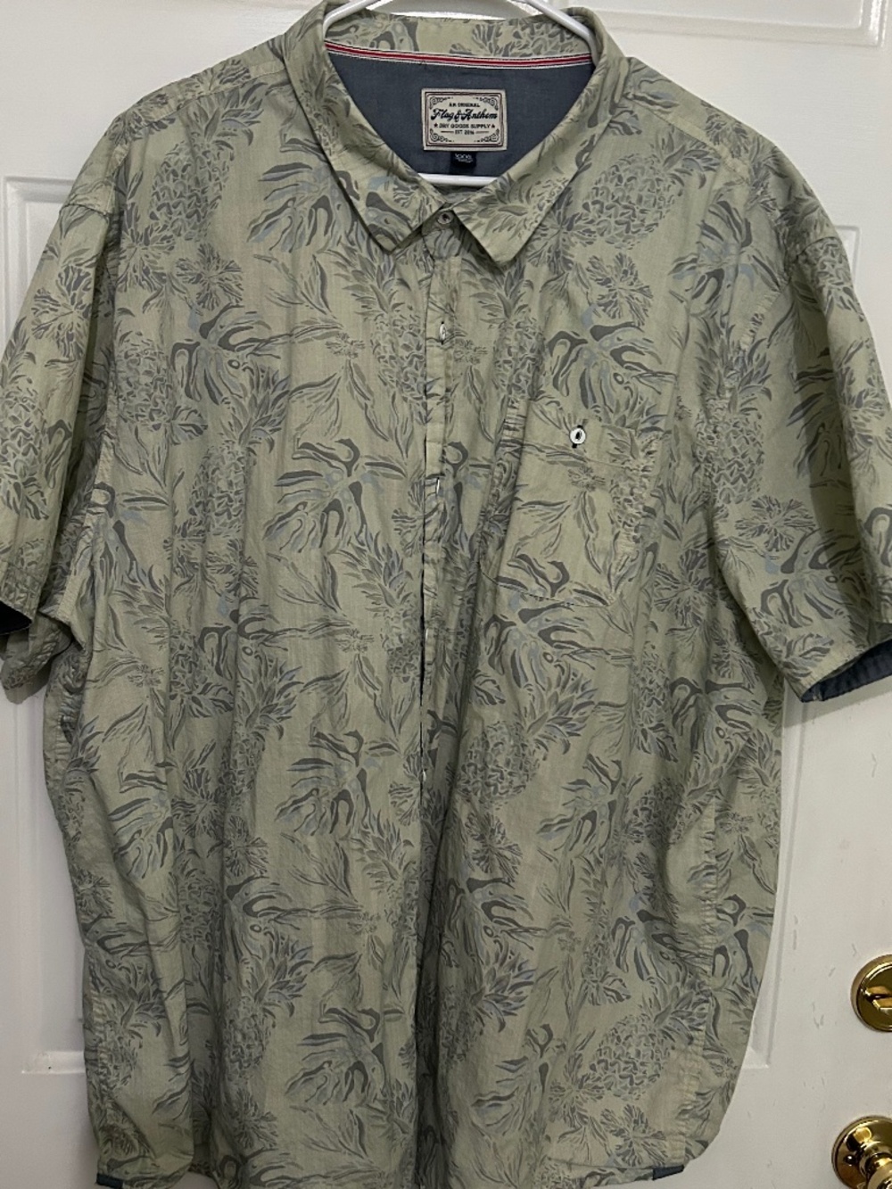 Flag & Anthem, Jetmore Short Sleeve Pineapple Print Shirt, 3XL, beige